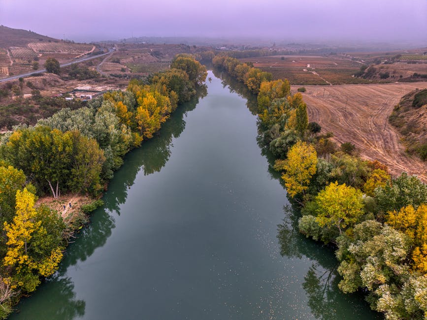 Autumn colors vineyard Spain