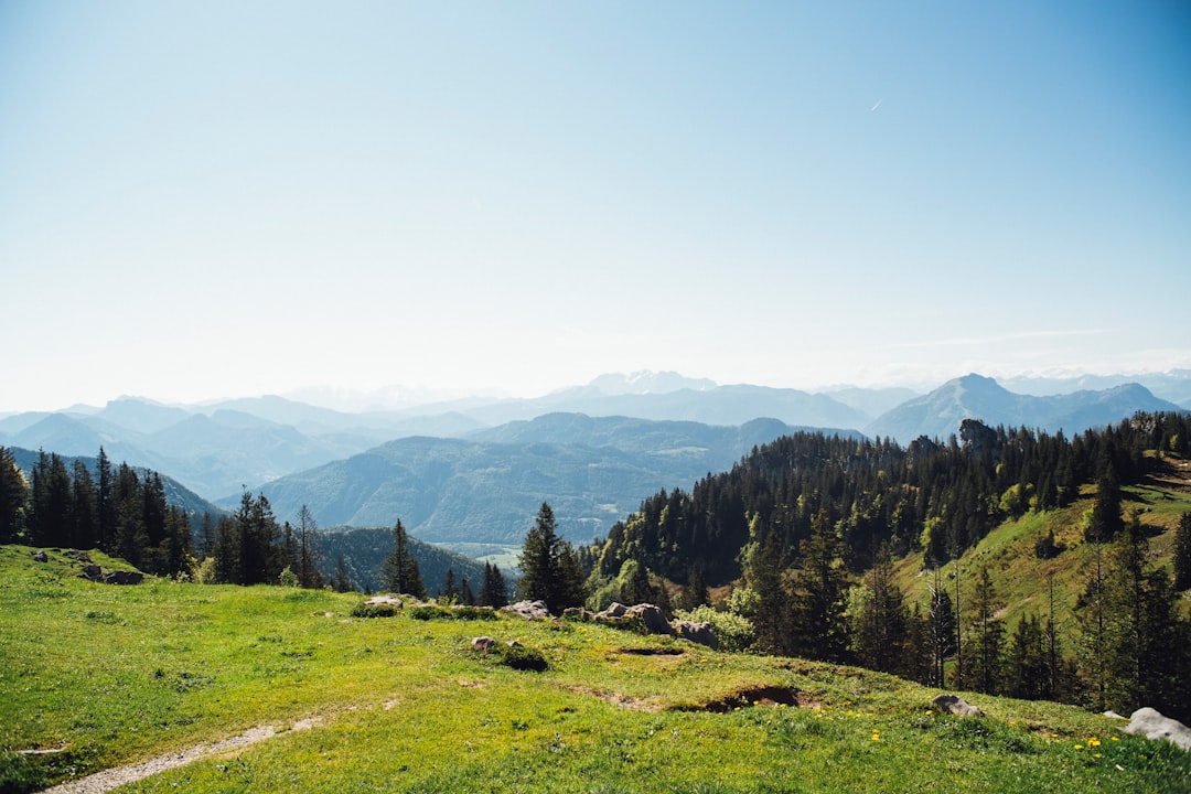 Bavarian forest hiking woman