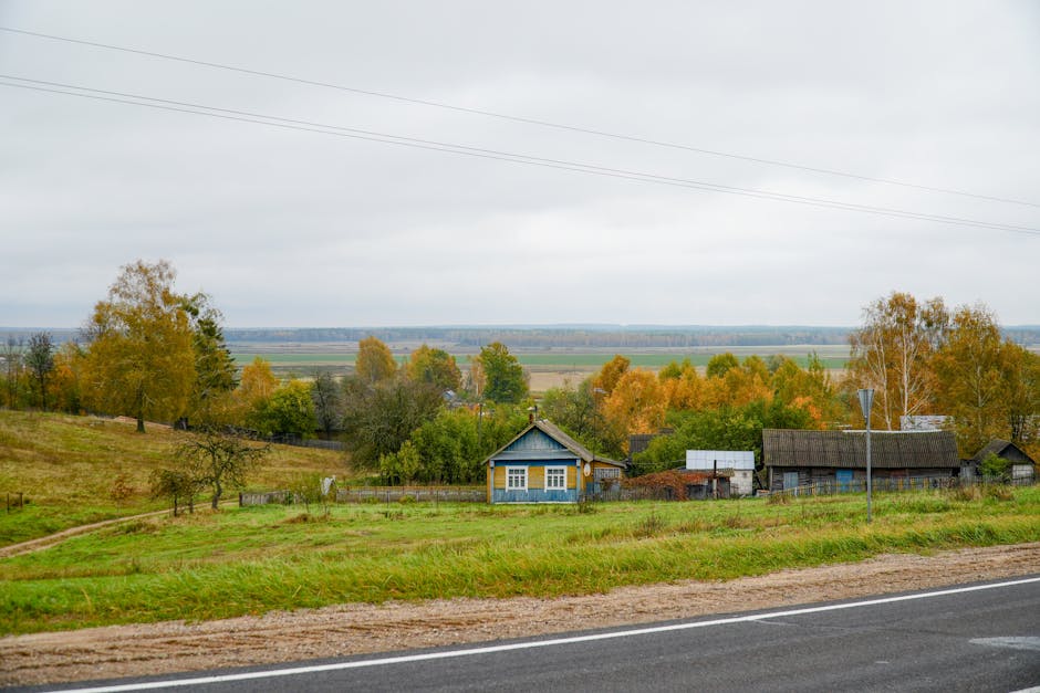 Belarusian traditional food draniki