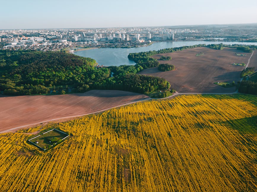 Belarussian traditional landscape