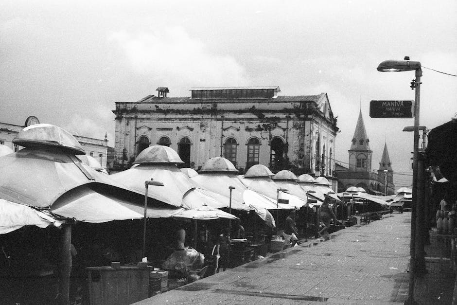 Belém Ver-o-Peso market