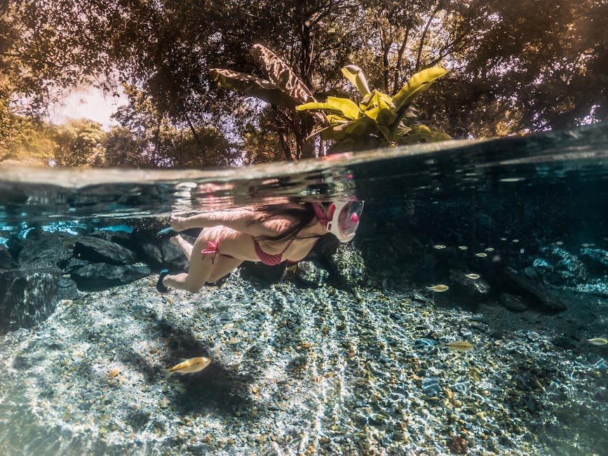 bonito brazil clear river snorkeling