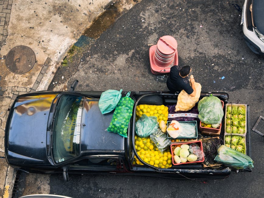 brazilian small business innovation