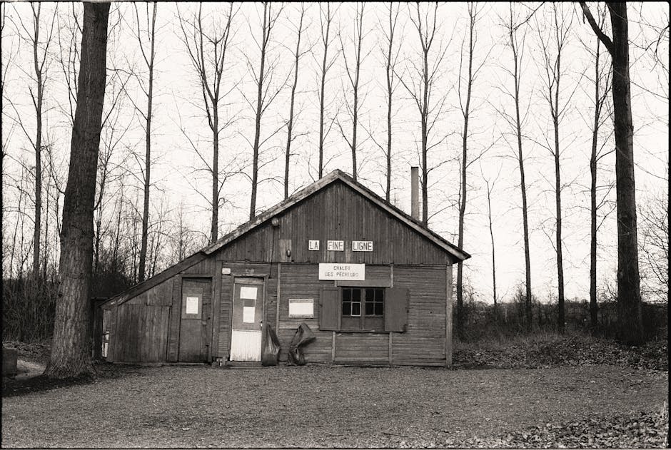cabin in french forest calm
