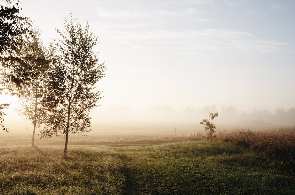 calm natural landscape