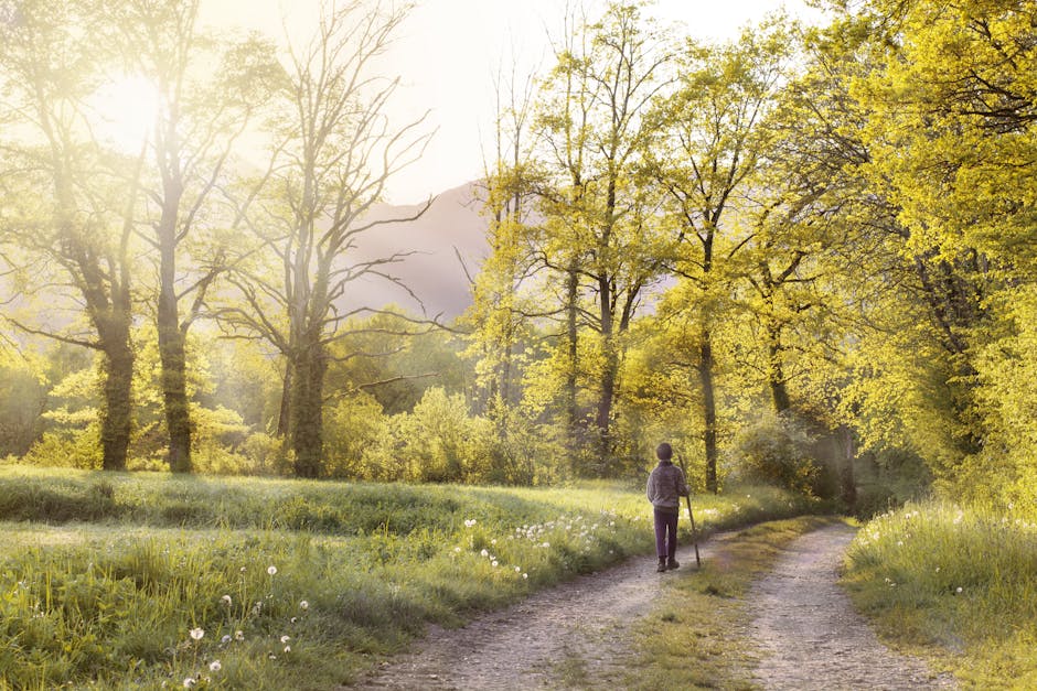 calm person walking forest path