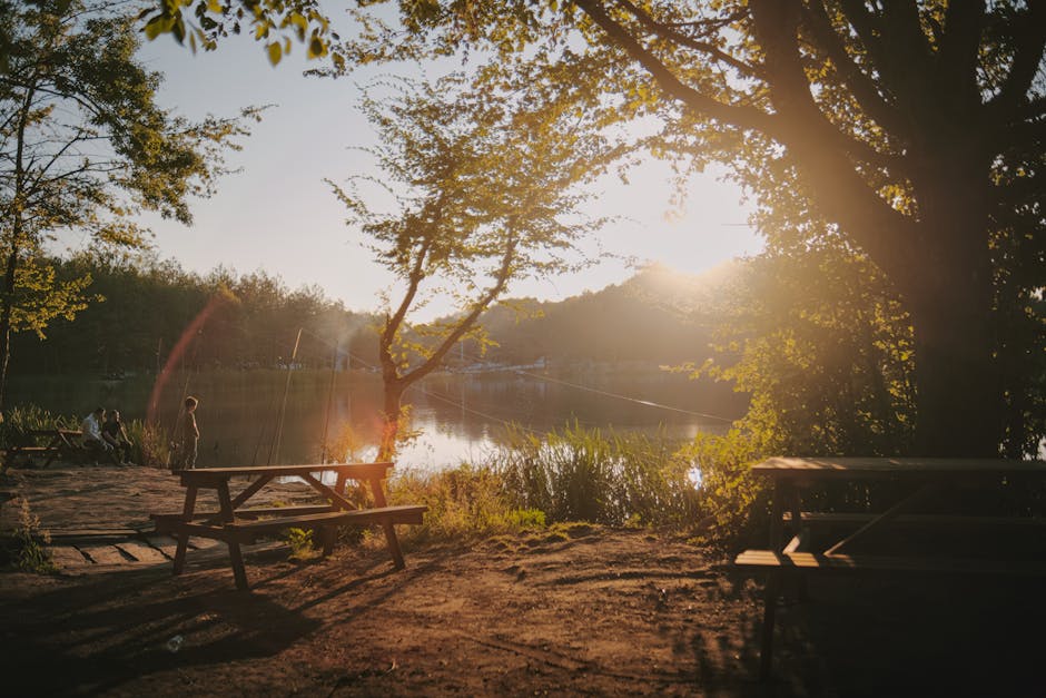 family picnic by a French lake