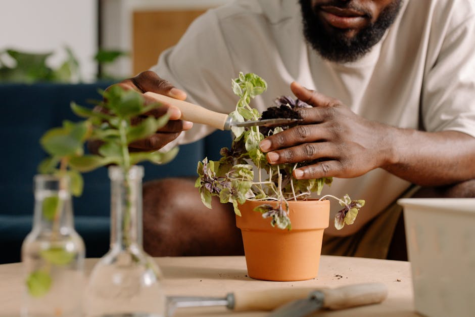 Hands tending to potted plants on windowsill