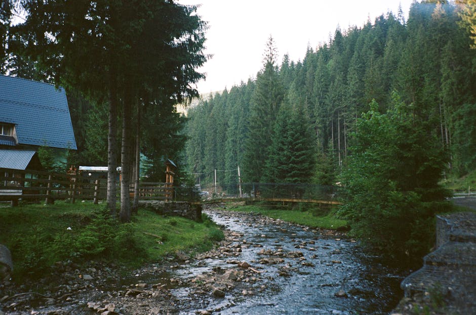Hiking in Ukrainian Carpathians forest stream
