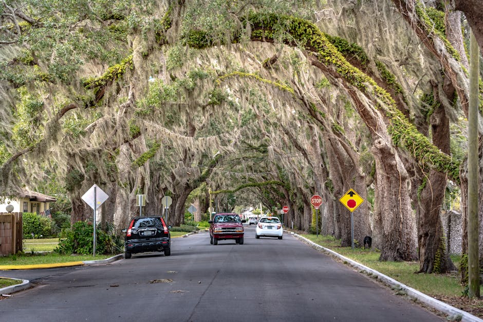 historic spanish village drive
