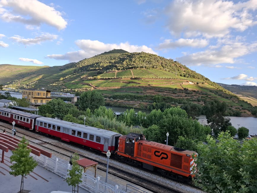Historic train through vineyards