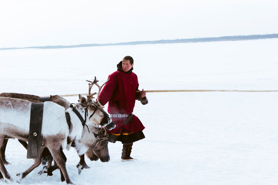 indigenous chukotka reindeer herder