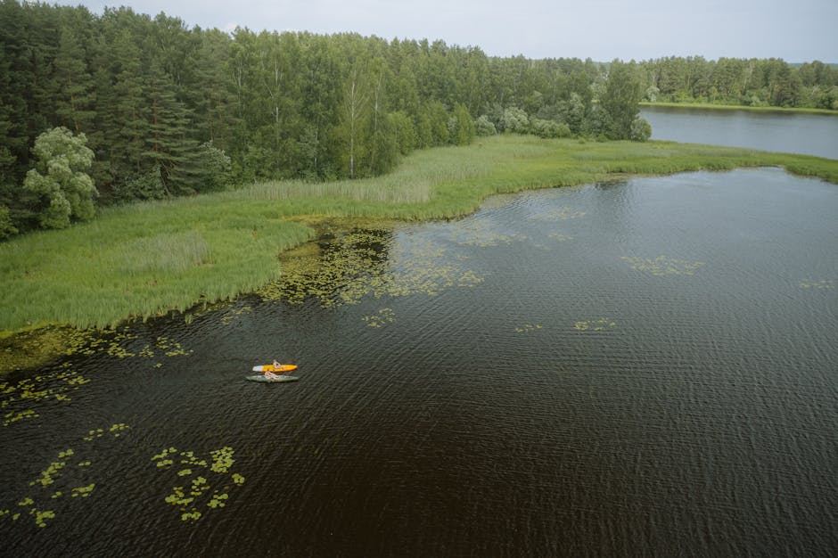 kayaking wild polish river