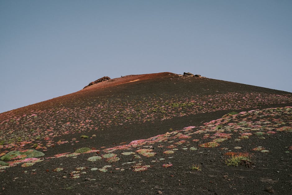 Mount Etna scenic landscape
