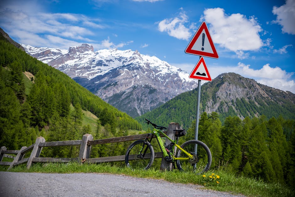 Mountain biking Italy forest