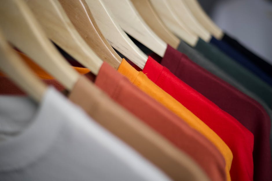 organized closet with basic clothes