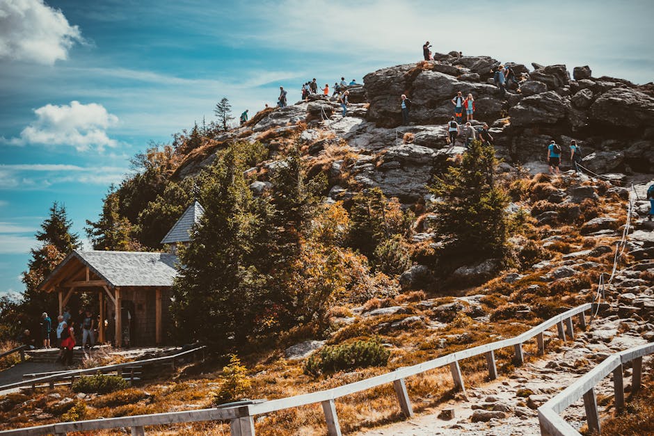people hiking bavarian forest