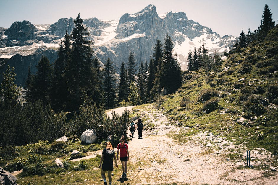 People hiking in German forest