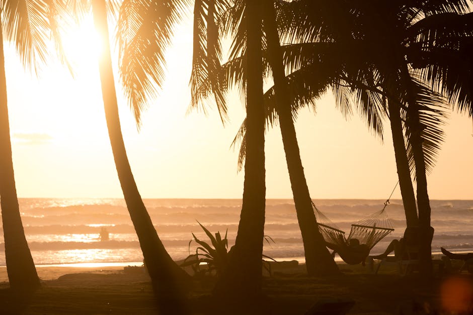 People resting in a hammock in a tropical setting