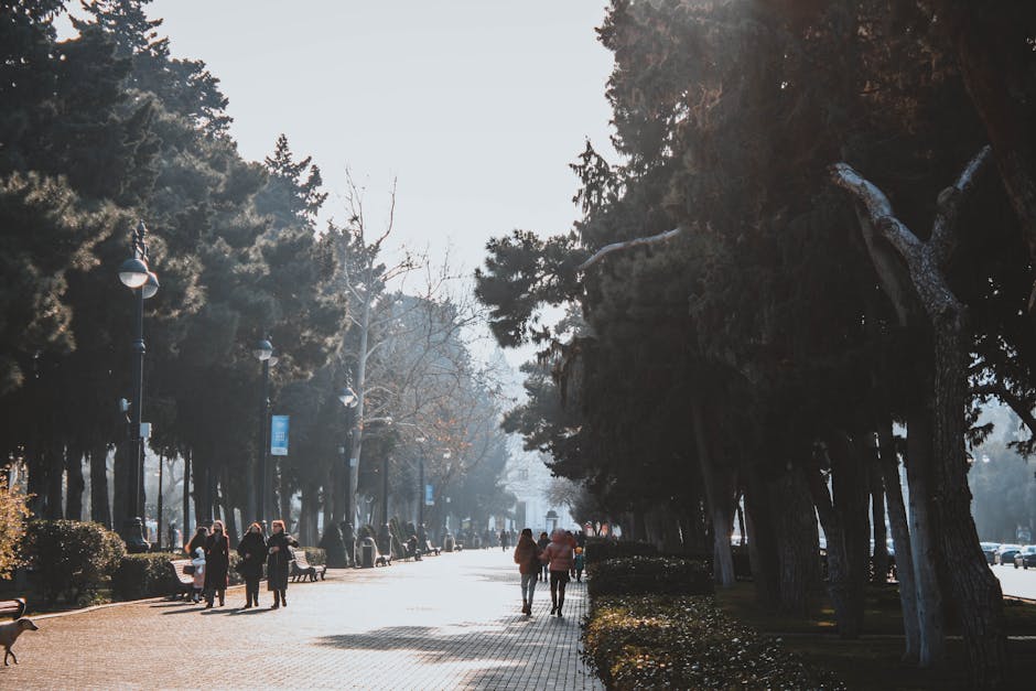 people walking in park enjoying nature