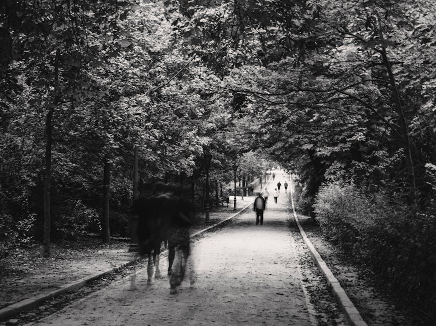 People walking in park Spain