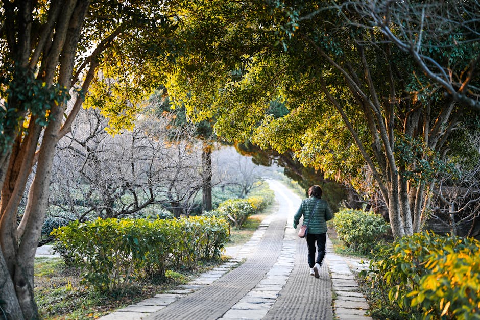 person walking in nature park