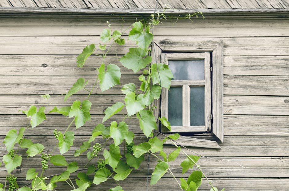 Podlasie traditional wooden house village