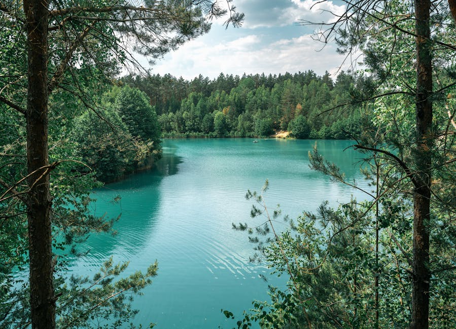 Pristine forest lake Belarus