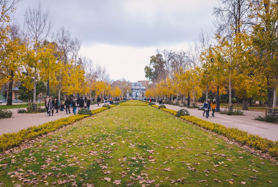 quiet madrid retiros park