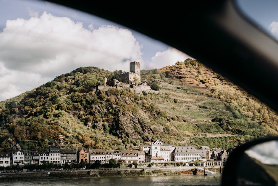Rhine river castles vineyards