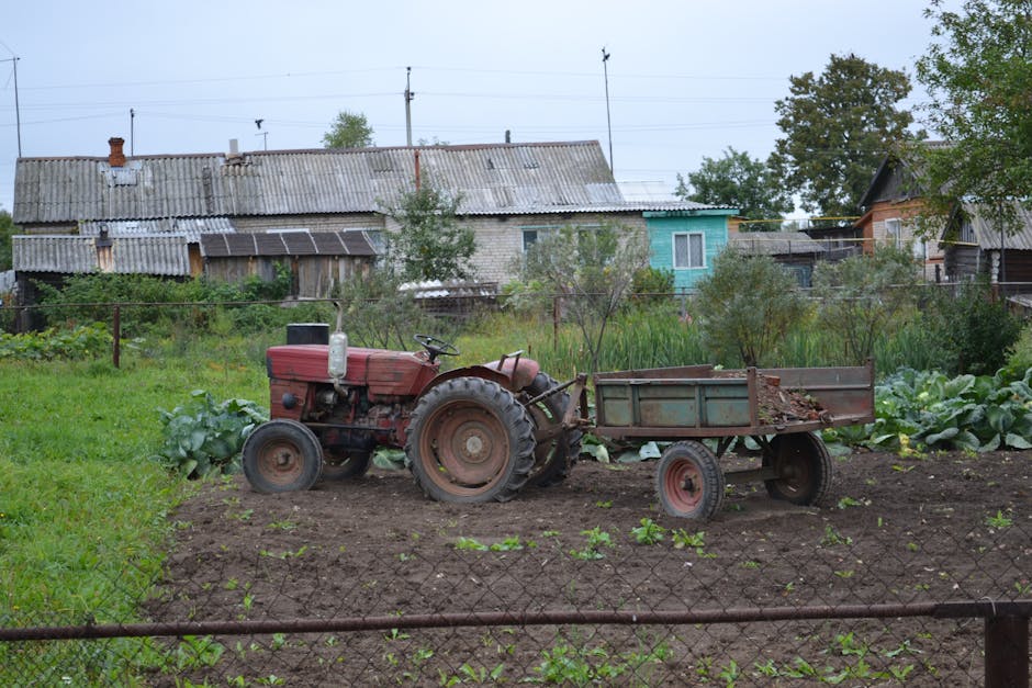 russian dacha garden farming