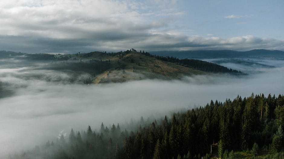 serene carpathian mountains view