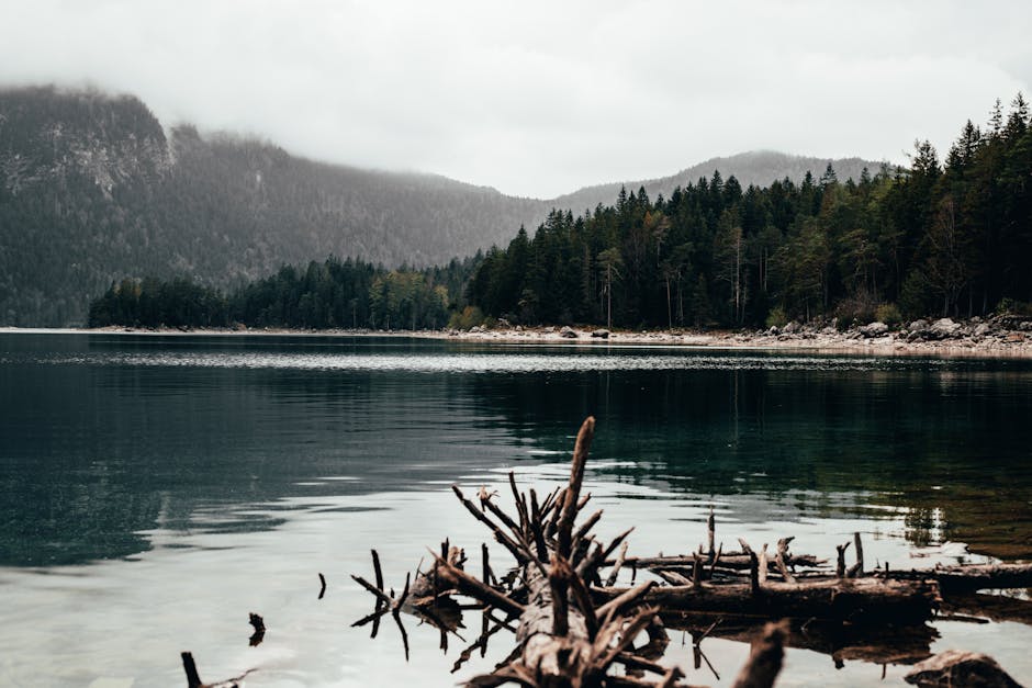 serene misty german forest lake