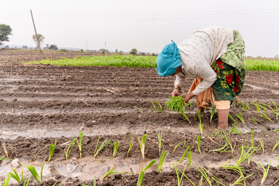 south asian farmer smartphone data