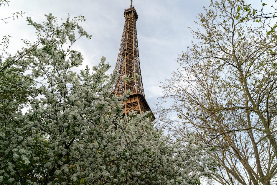 spring flowers eiffel tower