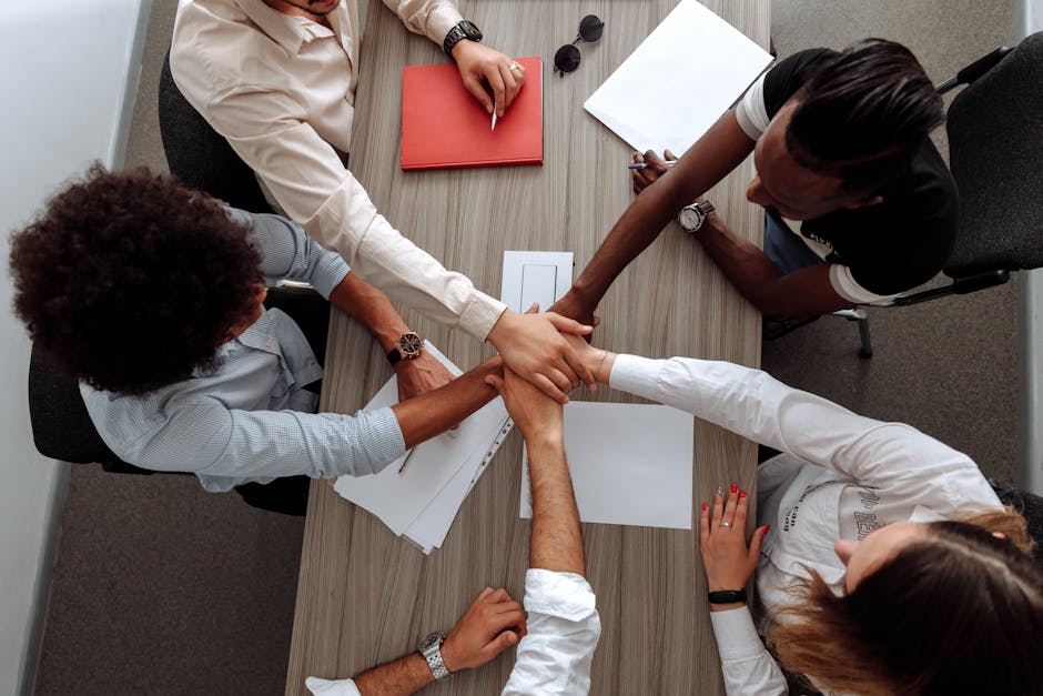 startup team collaboration spain