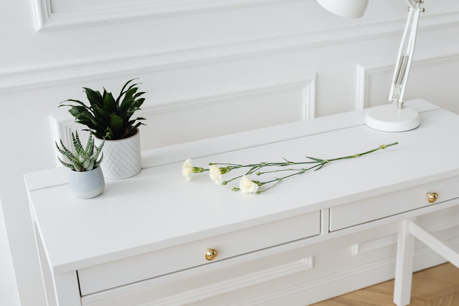 tidy minimalist desk with plant