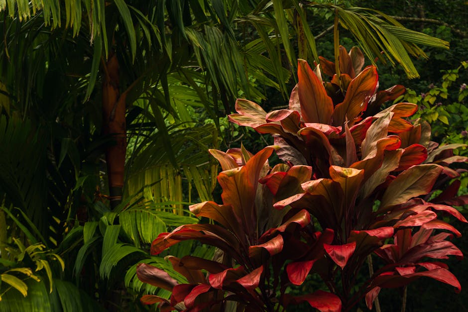 Tropical rainforest vibrant colors