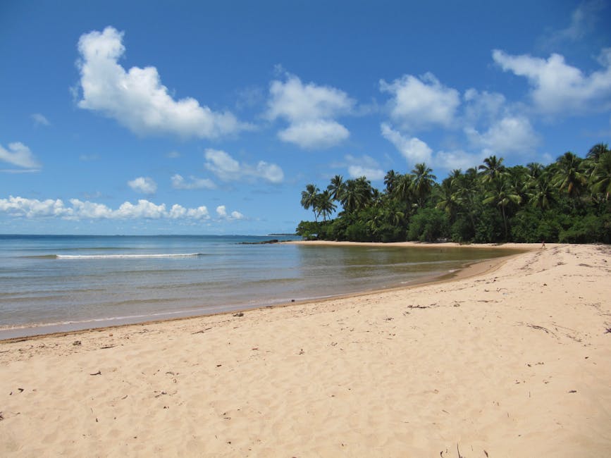 untouched sand and clear water